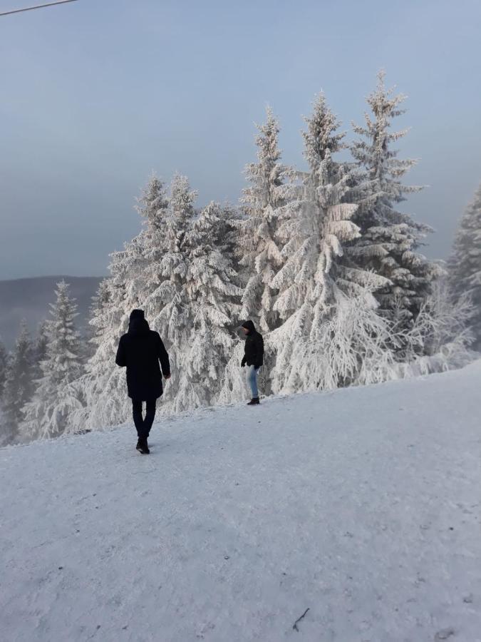 Apartmán Winterberger Strasse Exteriér fotografie